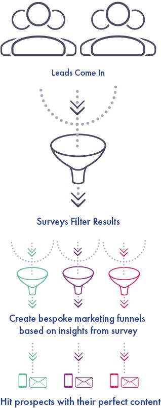 Filter Infograph