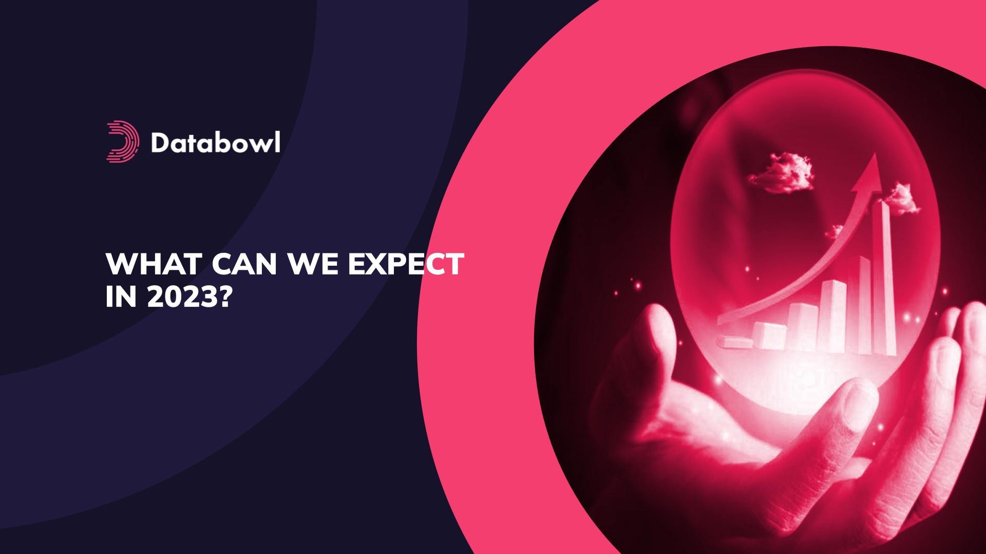 What Can We Expect In 2023? / Blog / Databowl